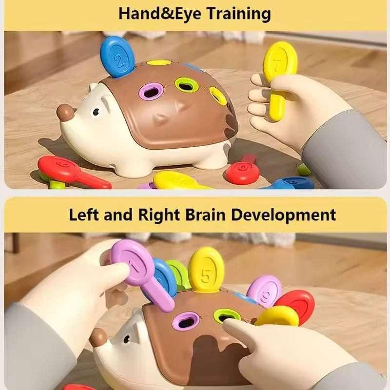 HedgeFun Learn & Play